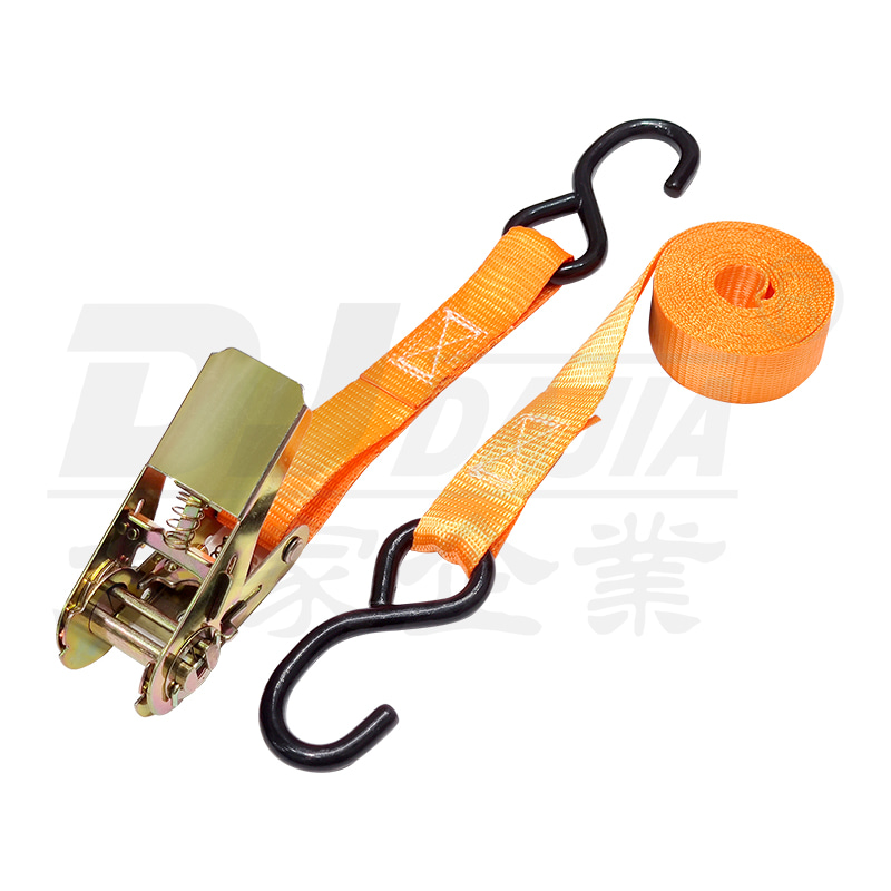 1 "(25 میلی متر) 500 کیلوگرم 5M تسمه Ratchet Transport